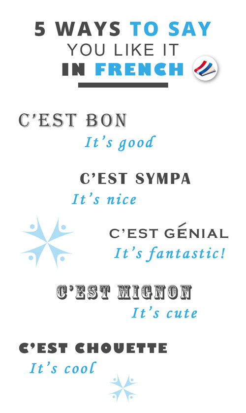 5 ways to say you like it in French