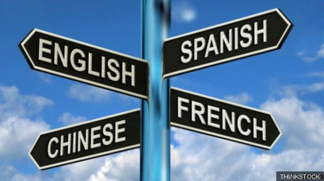 Learning Second Language Slows Brain Ageing